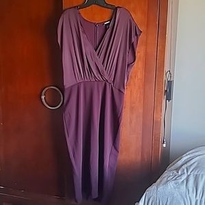 Express L Plum dress
